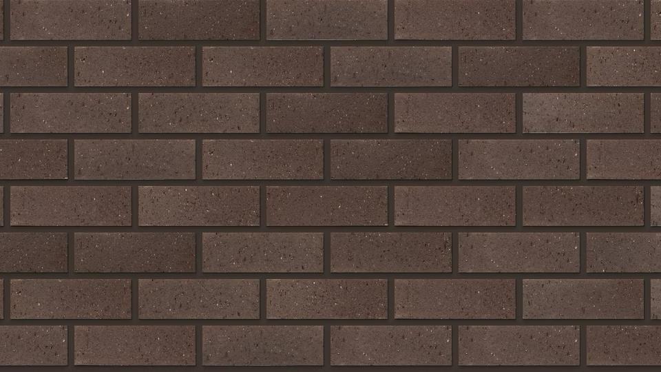 FBX #20